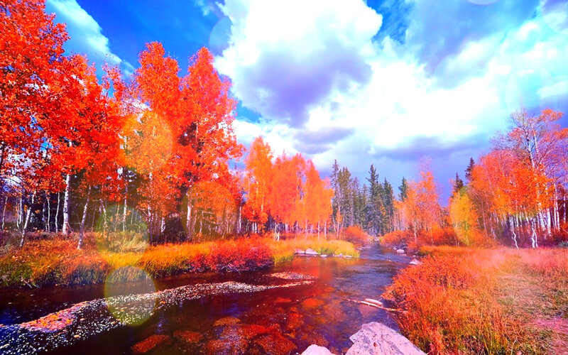 Autumn Trees by River — Red, Dramatic, Photograph
