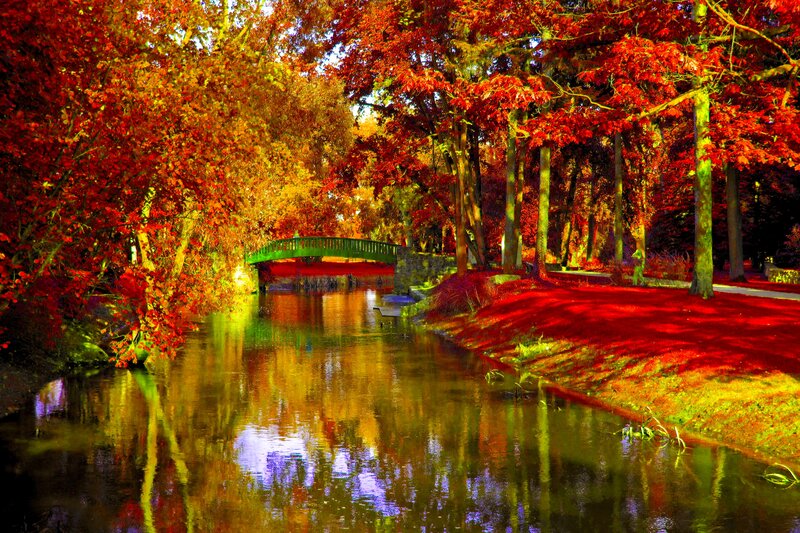 Autumn Trees by River — Red, Serene, Photograph, Bridge, Path
