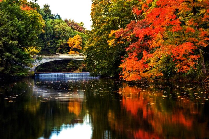 Autumn Trees by River — Red, Serene, Photograph, Bridge