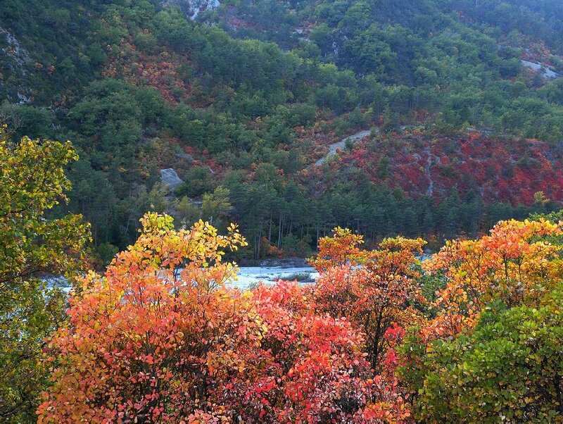 Autumn Trees by River — Red, Serene, Photograph, Mountain
