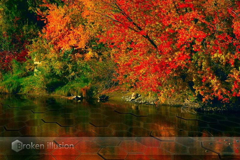 Autumn Trees by River — Red, Serene, Photograph, Reflection, Orange