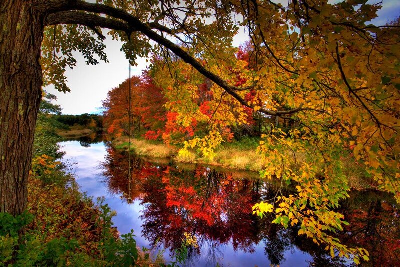 Autumn Trees by River — Red, Serene, Photograph, Reflection, Sky