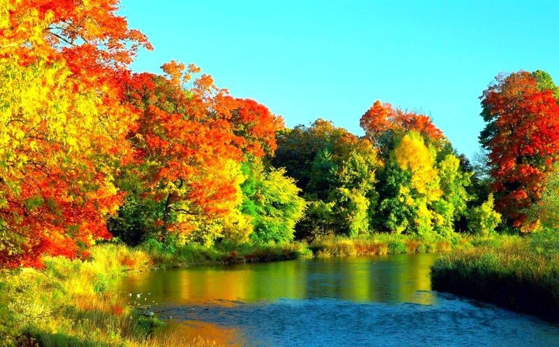 Autumn Trees by River — Red, Serene, Photograph, Sky