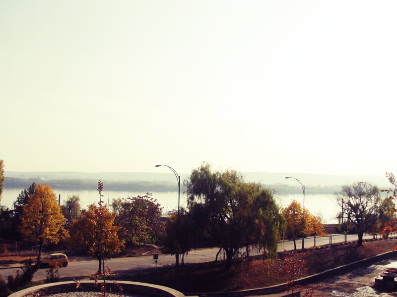 Autumn Trees by River — Yellow, Calm