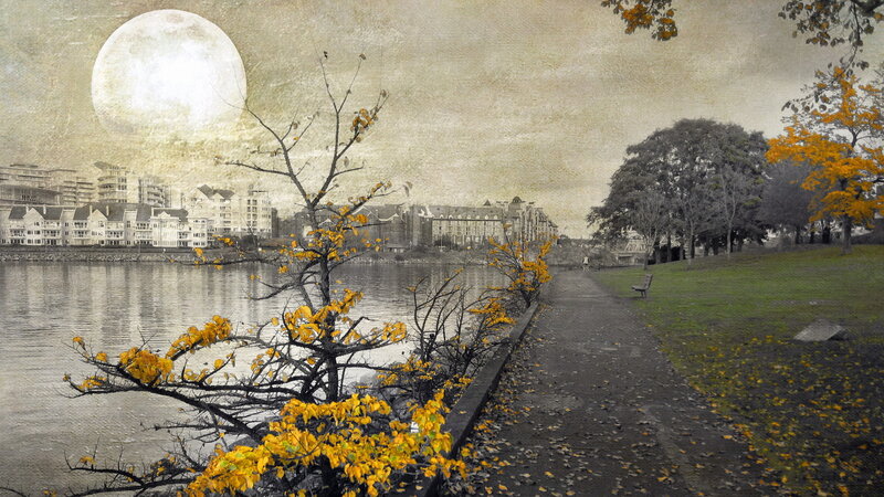 Autumn Trees by River — Yellow, Serene, Night