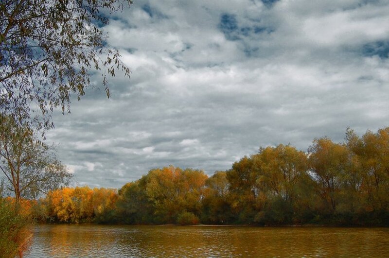 Autumn Trees by River — Yellow, Serene, Photograph, Clouds