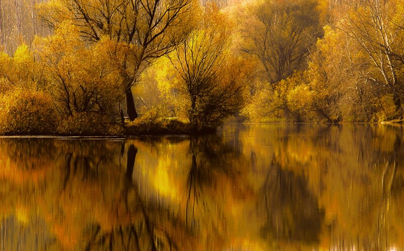 Autumn Trees by River — Yellow, Serene, Photograph, Reflection