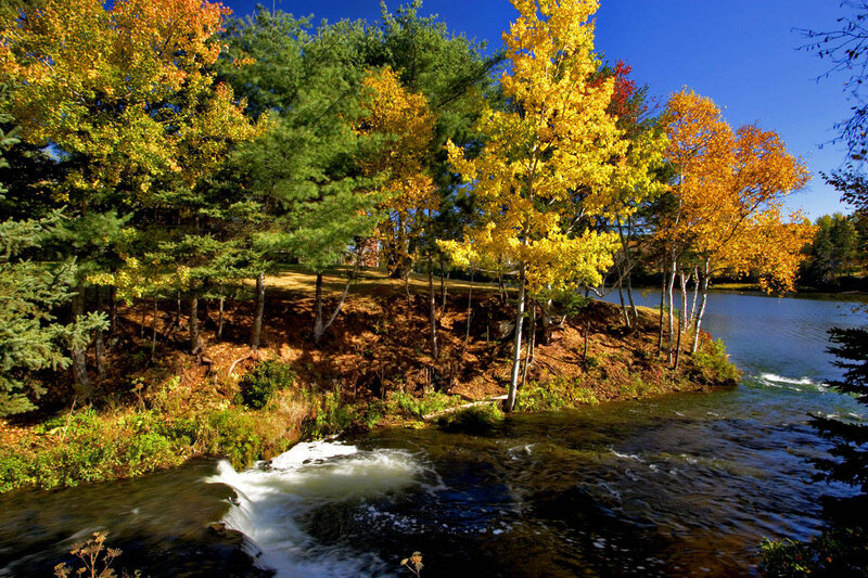 Autumn Trees by River — Yellow, Serene, Photograph, Sky