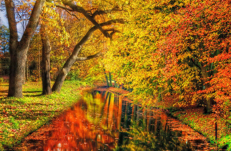 Autumn Trees by River — Yellow, Serene, Photograph