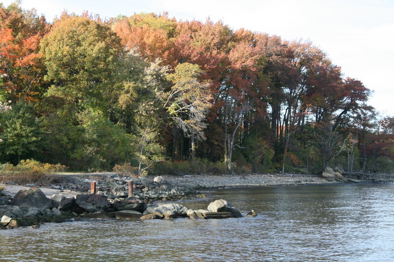 autumn trees by the water