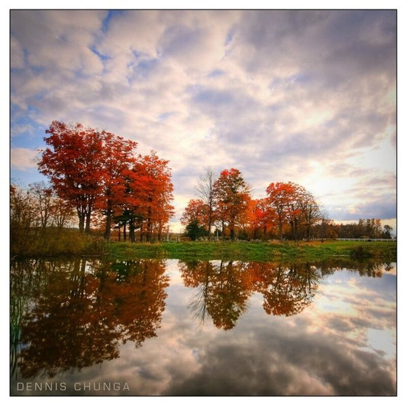 Autumn Trees by Water — Orange
