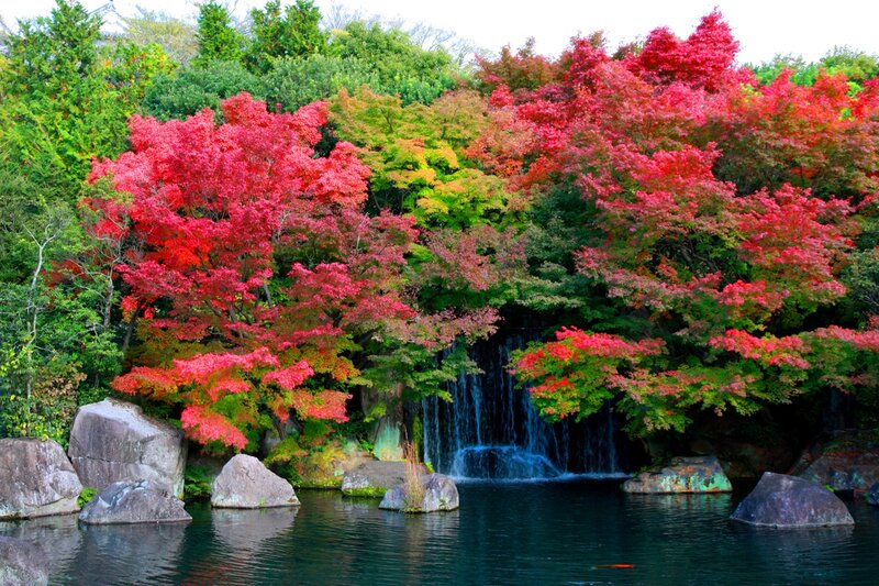 Autumn Trees by Waterfall — Red, Serene