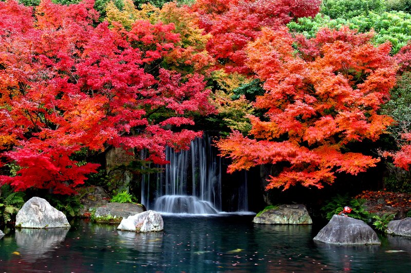 Autumn Trees by Waterfall — Red