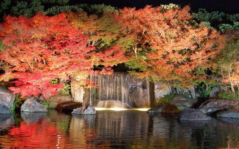 Autumn Trees by Waterfall