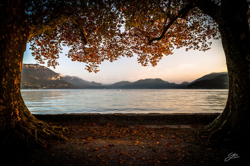 Autumn Trees Framing Lake