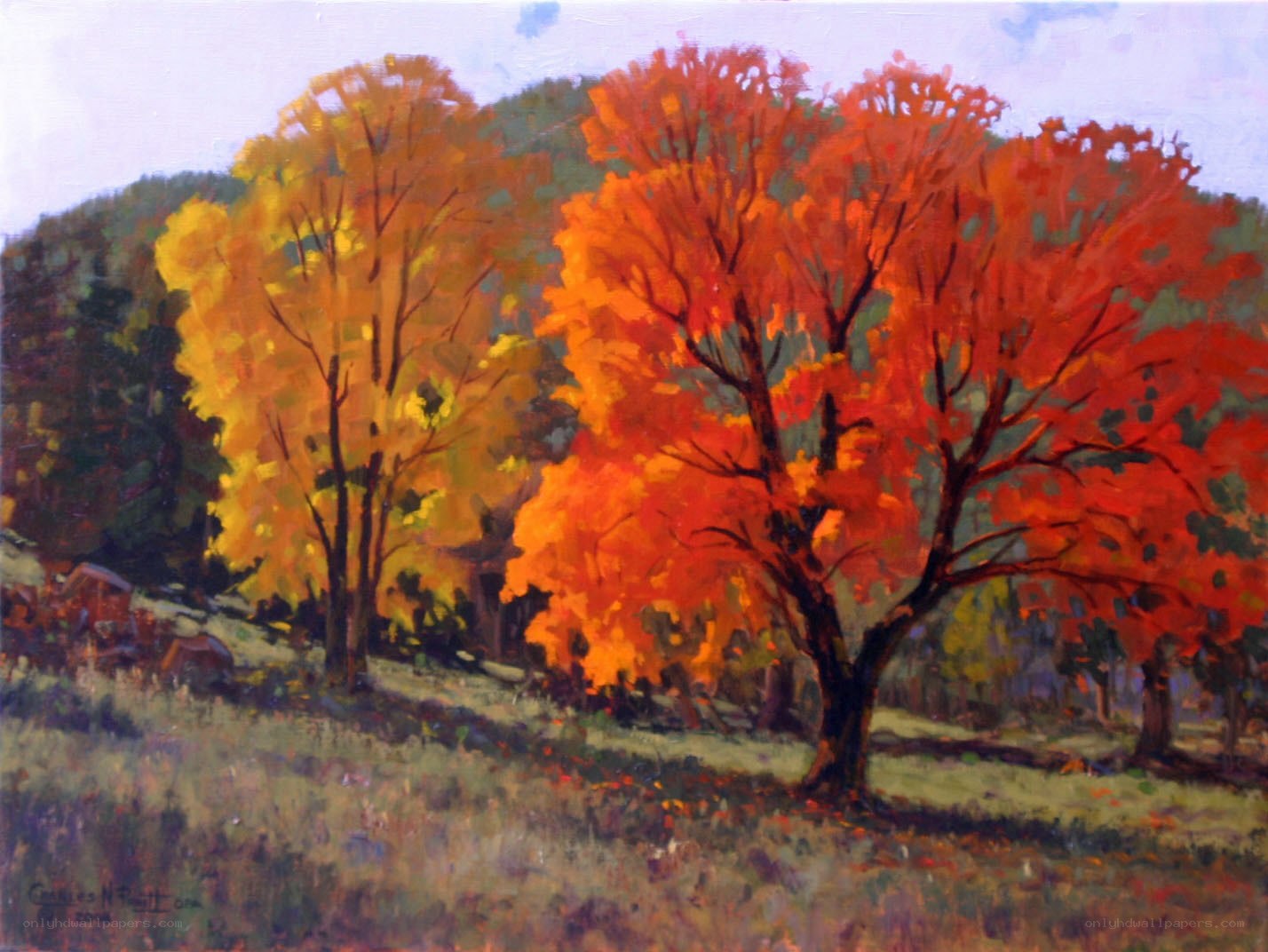 Autumn trees in a field