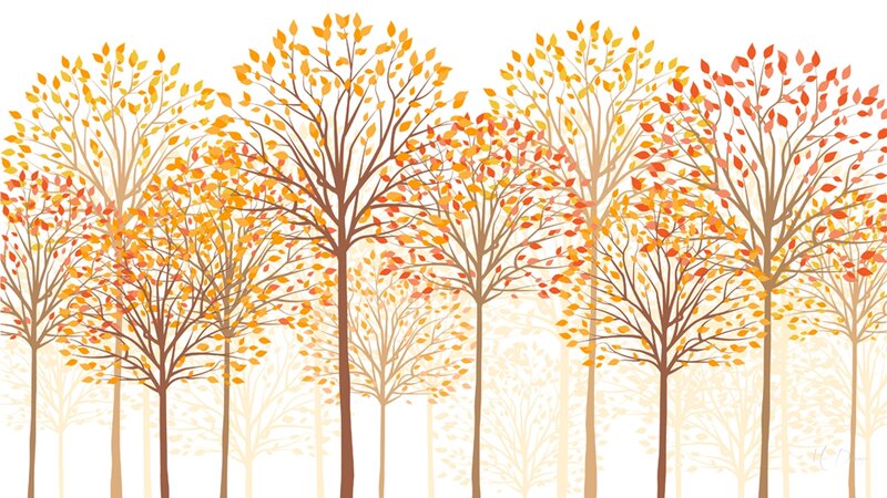 Autumn Trees in a Forest — Orange