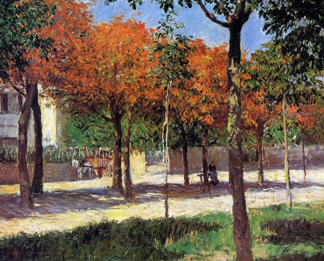 Autumn Trees in a Park