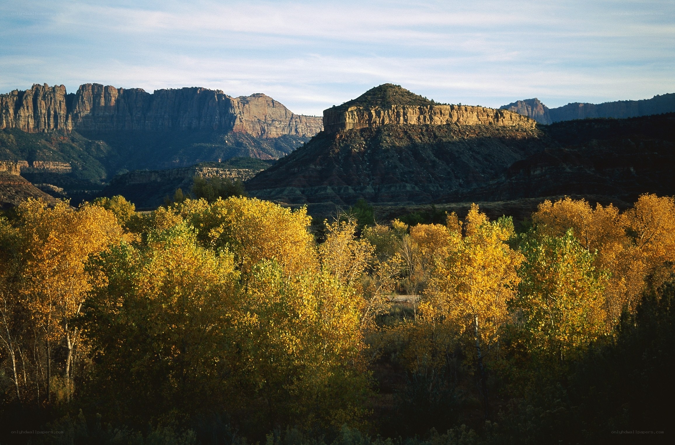 Autumn trees in canyon landscape