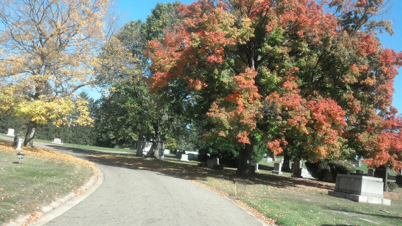Autumn Trees in Cemetery — Red
