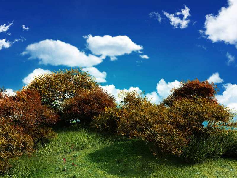Autumn Trees in Field — Blue, Serene, Digital Art