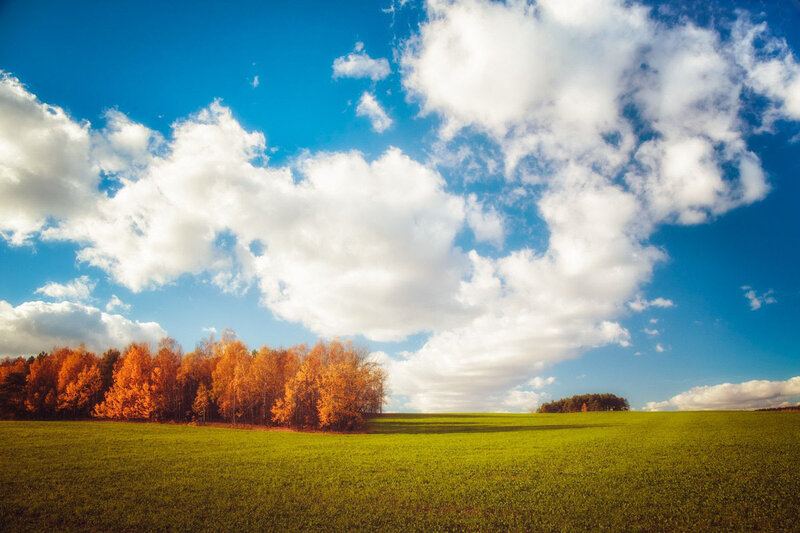 Autumn Trees in Field — Blue, Serene, Photograph, Clouds
