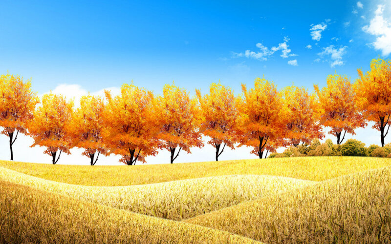 Autumn Trees in Field — Yellow, Serene, Digital Art, Sky