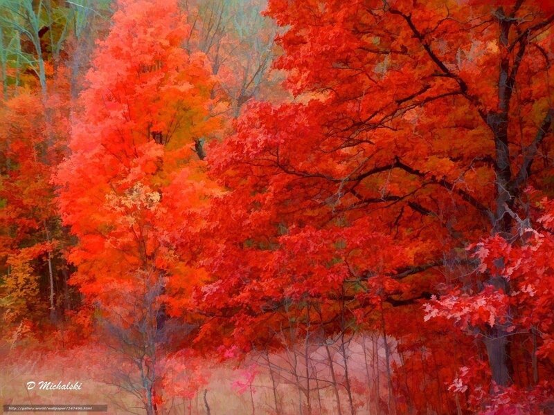 Autumn Trees in Forest — Red, Serene, Digital Art, Leaves