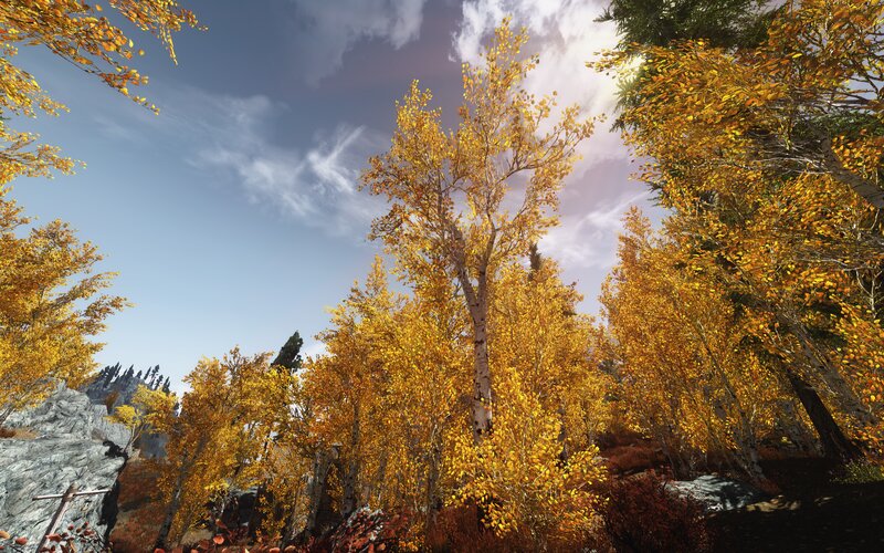 Autumn Trees in Forest — Yellow, Serene, 3d Render