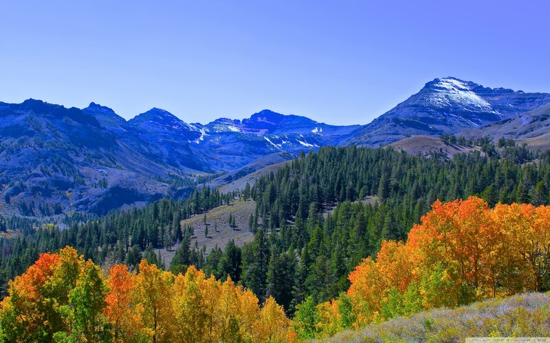 Autumn Trees in Mountains — Blue, Serene