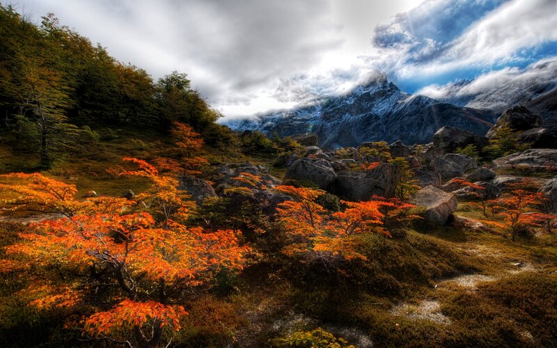 Autumn Trees in Mountains — Orange, Dramatic, Photograph, Rocks
