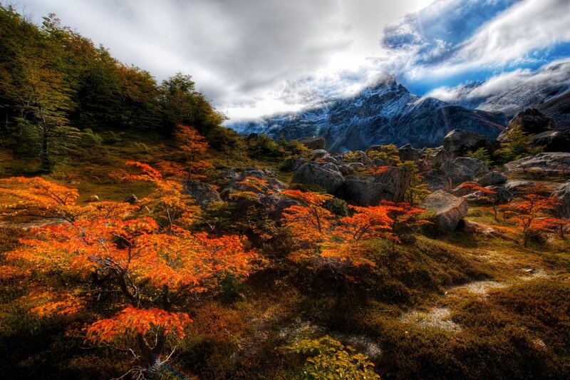 Autumn Trees in Mountains — Orange, Dramatic, Photograph