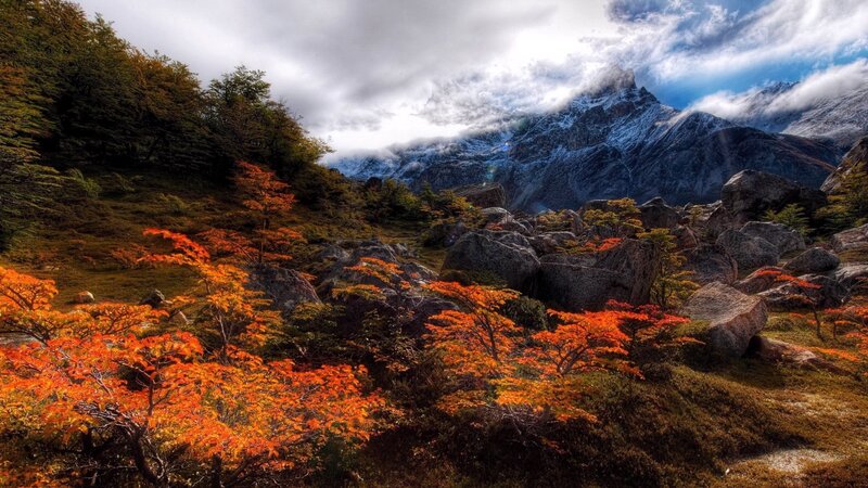 Autumn Trees in Mountains — Orange