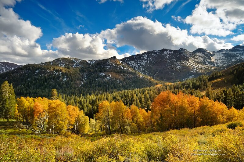 Autumn Trees in Mountains — Yellow, Serene, Photograph, Clouds