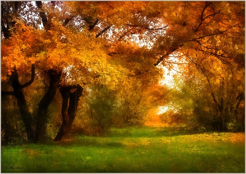 Autumn Trees in Park — Orange, Serene, Digital Art