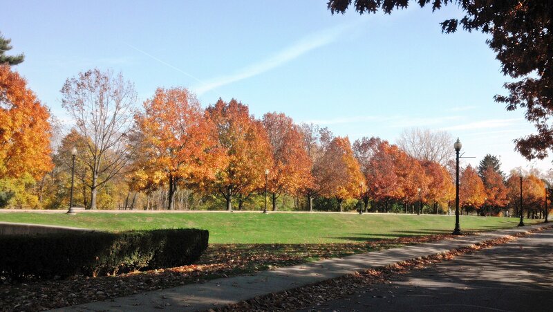 Autumn Trees in Park — Orange, Serene, Photograph, Path, Lamp Posts