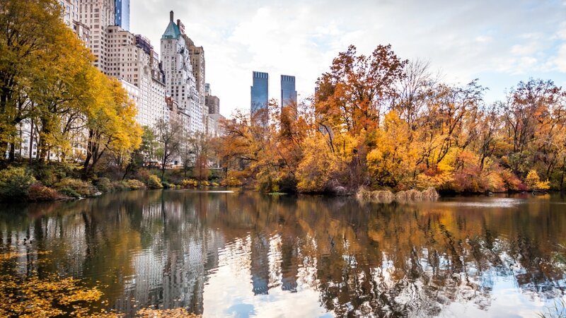 Autumn Trees in Park — Yellow, Serene, Photograph, Buildings