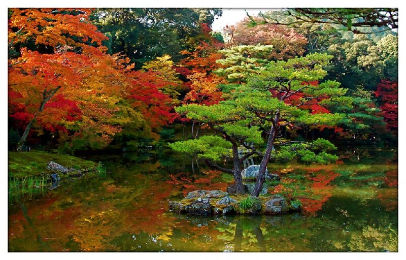 Autumn Trees in Pond — Red