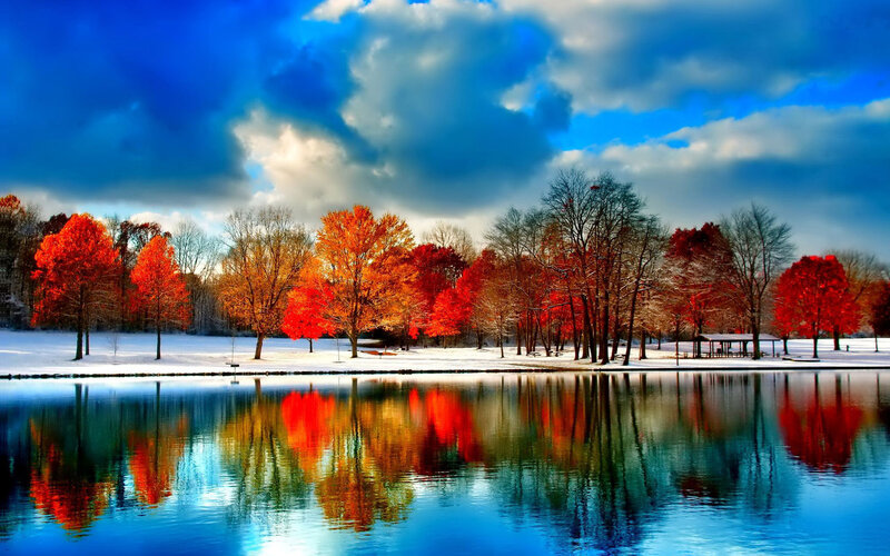 Autumn Trees in Snow — Blue