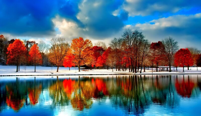 Autumn Trees in Snow — Red, Dramatic