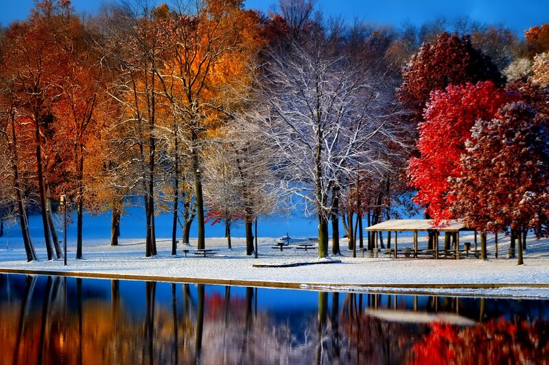 Autumn Trees in Snow — Red, Serene