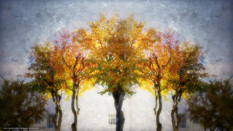 Autumn trees in sunlight