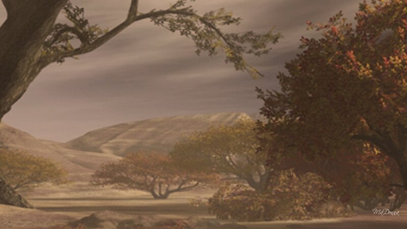 Autumn Trees in Valley — Brown