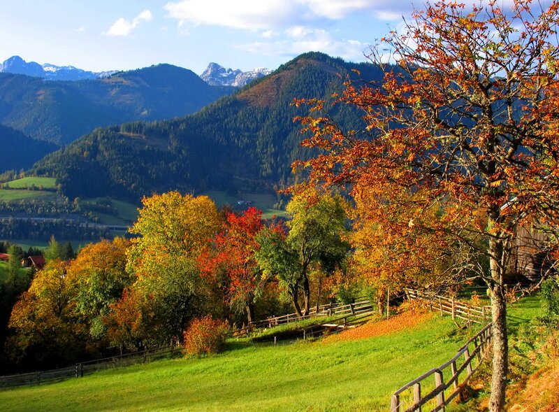 Autumn Trees in Valley — Green, Serene