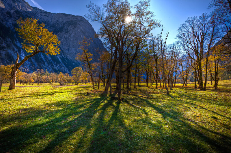 Autumn Trees in Valley — Green