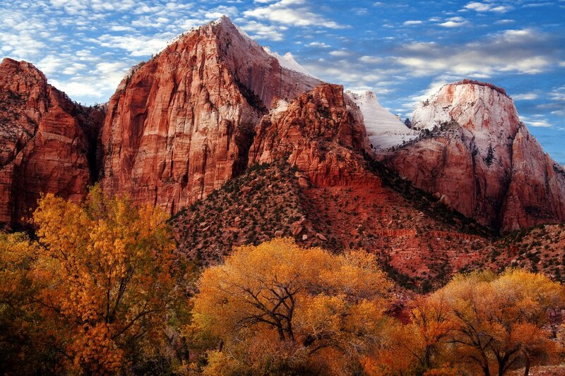 autumn trees in Zion Canyon