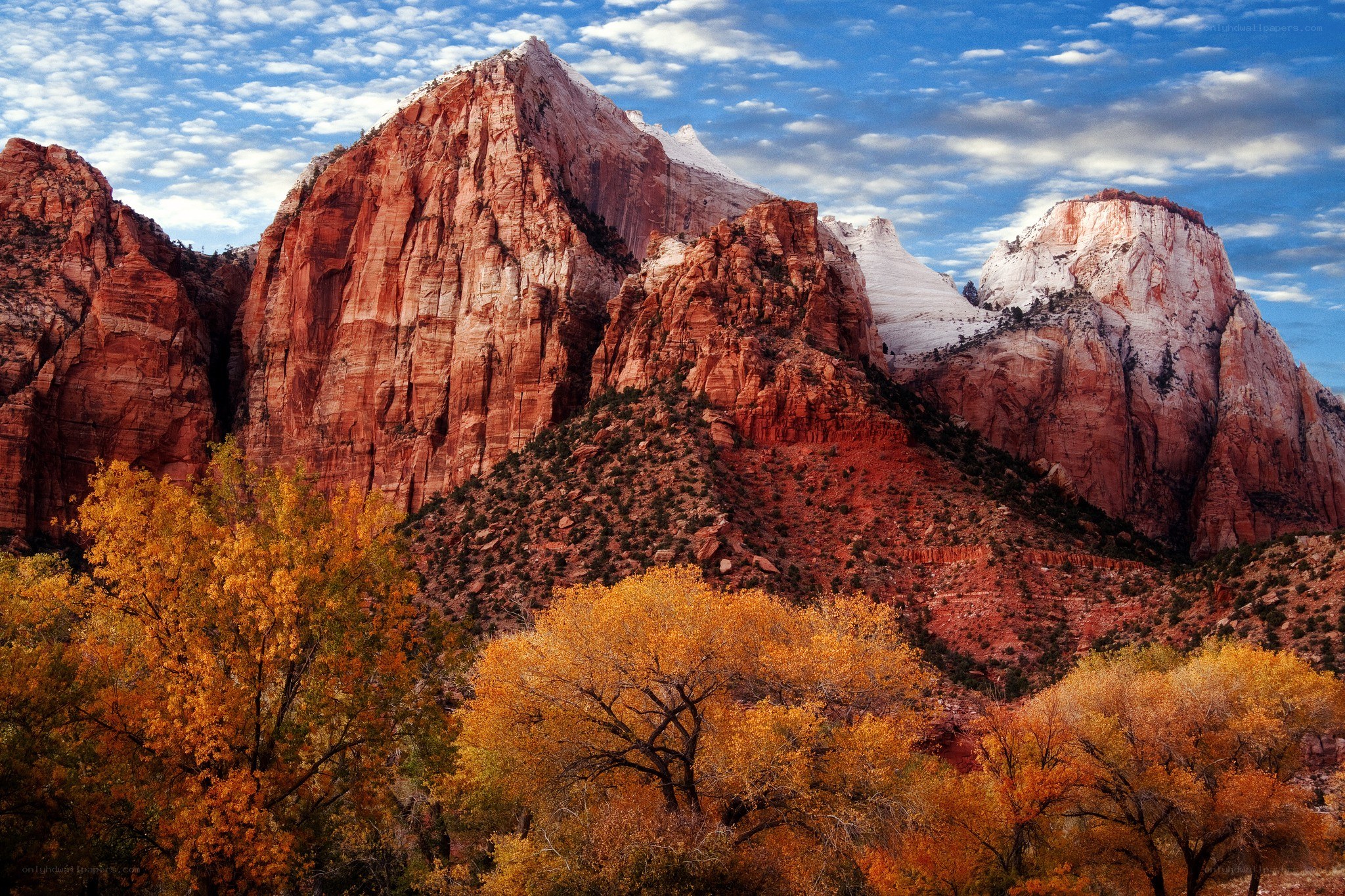 autumn trees in Zion Canyon
