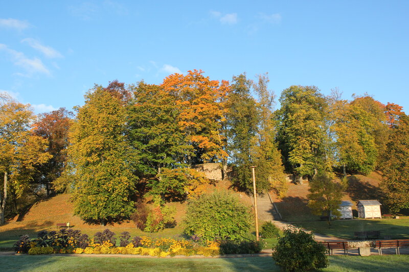 Autumn Trees on a Hill — Blue, Serene