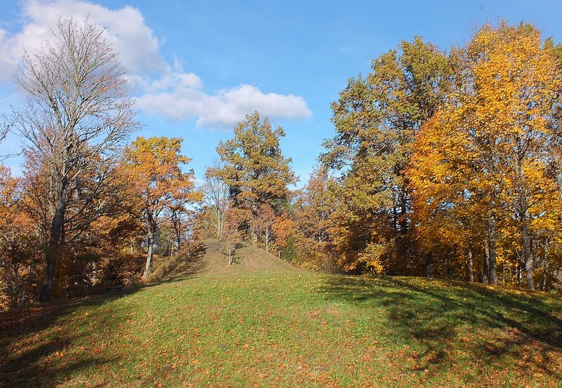Autumn Trees on a Hill — Green