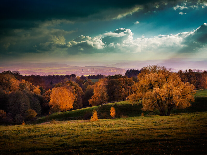 Autumn Trees on a Hill — Orange, Dramatic
